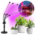 LED reguliuojama lanksti stalinė lempa augalų auginimui VITARO 4xLED/10W/230V juoda