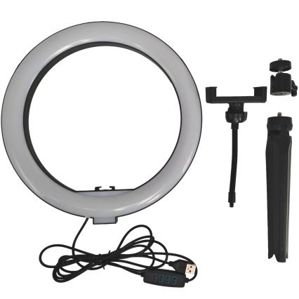 LED reguliuojama lempa su trikoju ir laikikliu vloginimui LED/10W/5V 2700-6500K