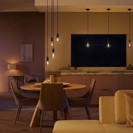 LED Reguliuojama lemputė Philips Hue WHITE AMBIANCE ST72 E27/7W/230V 2200-4500K