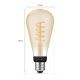 LED Reguliuojama lemputė Philips Hue WHITE AMBIANCE ST72 E27/7W/230V 2200-4500K