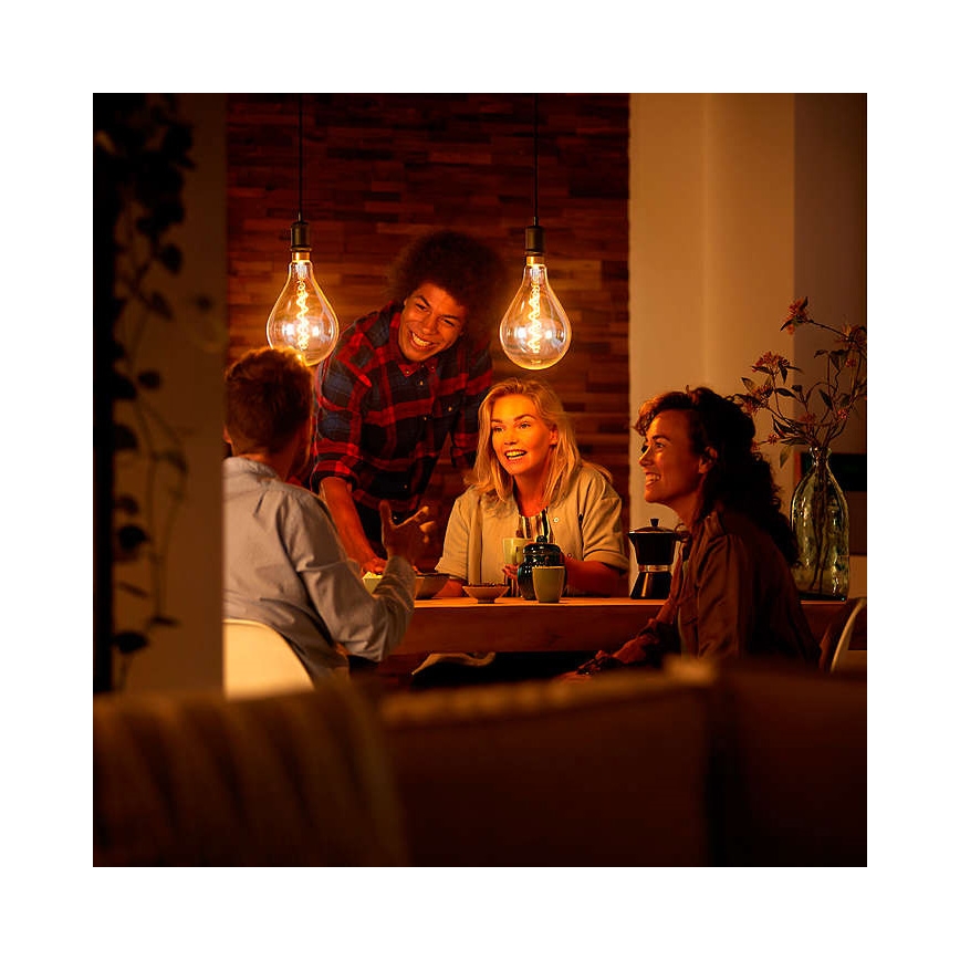 LED Reguliuojama lemputė VINTAGE DYI E27/4W/230V 2700K - Leuchten Direkt 0846