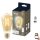 LED Reguliuojama lemputė VINTAGE FILAMENT ST64 E27/7W/230V 2000-5000K CRI 90 Wi-Fi - WiZ