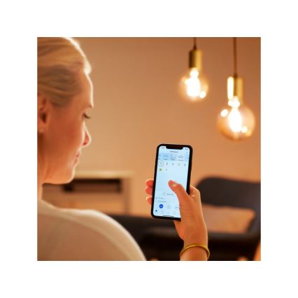 LED Reguliuojama lemputė VINTAGE FILAMENT G95 E27/6,7W/230V 2000-5000K CRI 90 Wi-Fi - WiZ