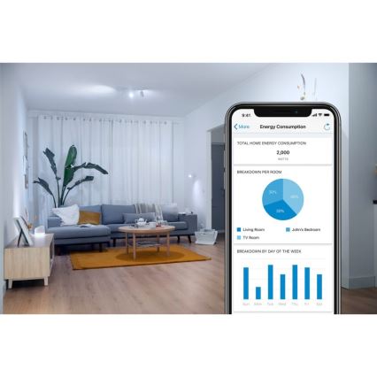 LED Reguliuojama lemputė VINTAGE FILAMENT G95 E27/6,7W/230V 2000-5000K CRI 90 Wi-Fi - WiZ