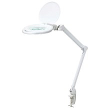 LED Reguliuojama stalinė lempa su lupa LED/10W/230V balta