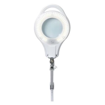 LED Reguliuojama stalinė lempa su lupa LED/10W/230V balta