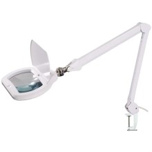 LED Reguliuojama stalinė lempa su lupa LED/12W/230V balta