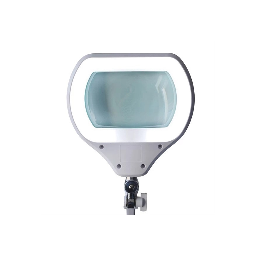 LED Reguliuojama stalinė lempa su lupa LED/12W/230V balta