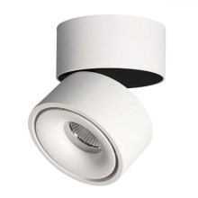 LED Reguliuojamas akcentinis šviestuvas LAHTI LED/13,5W/230V 3000K CRI 90 baltas