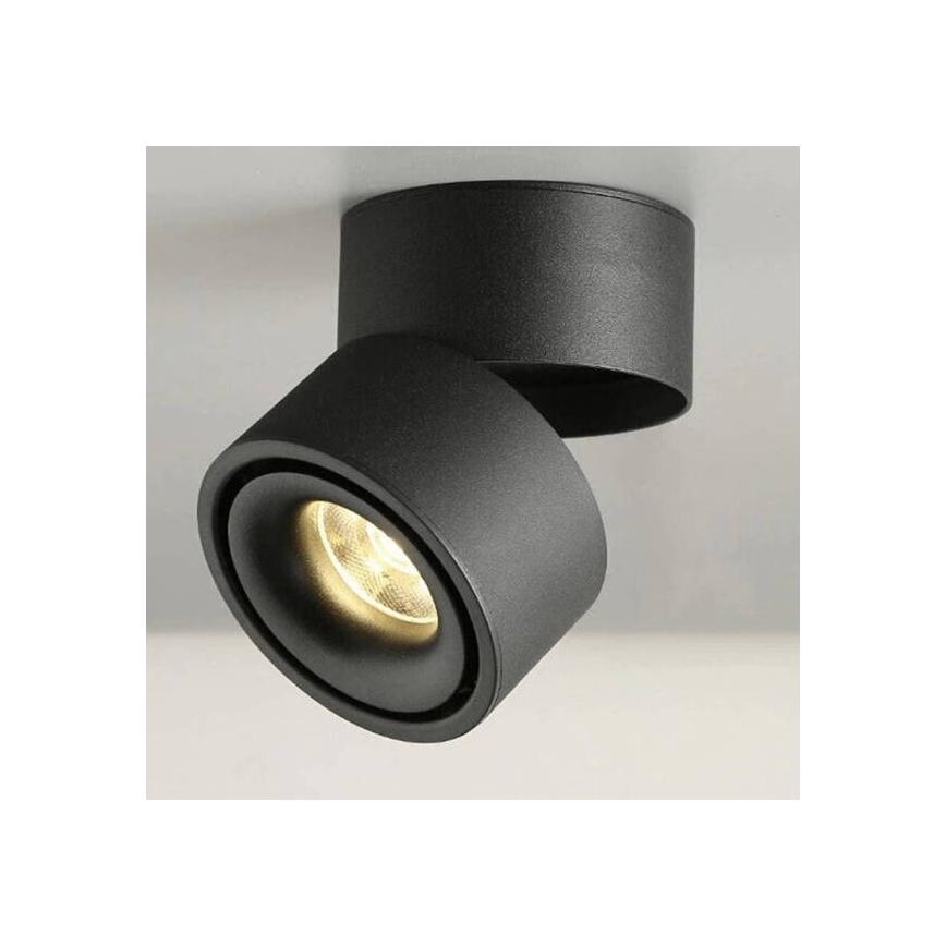LED Reguliuojamas akcentinis šviestuvas LAHTI LED/13,5W/230V 3000K CRI 90 juodas