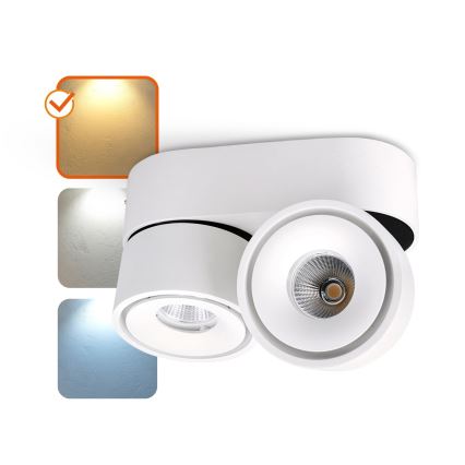 LED Reguliuojamas akcentinis šviestuvas LAHTI MINI 2xLED/9W/230V 3000K CRI 90 baltas