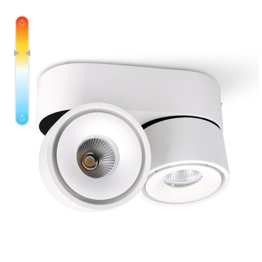 LED Reguliuojamas akcentinis šviestuvas LAHTI MINI 2xLED/9W/230V 3000K CRI 90 baltas