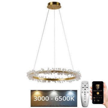 LED reguliuojamas krištolinis šviestuvas ant laido LED/40W/230V 3000-6500K auksinis + nuotolinio valdymo pultas
