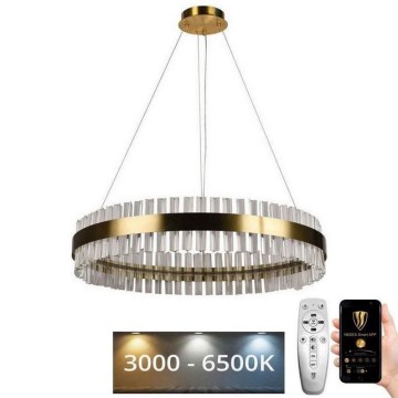 LED reguliuojamas krištolinis šviestuvas ant laido LED/55W/230V 3000-6500K + nuotolinis valdymas