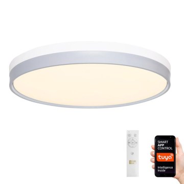 LED Reguliuojamas lubinis šviestuvas LED/48W/230V 2700-6500K Wi-Fi Tuya + valdymo pultas