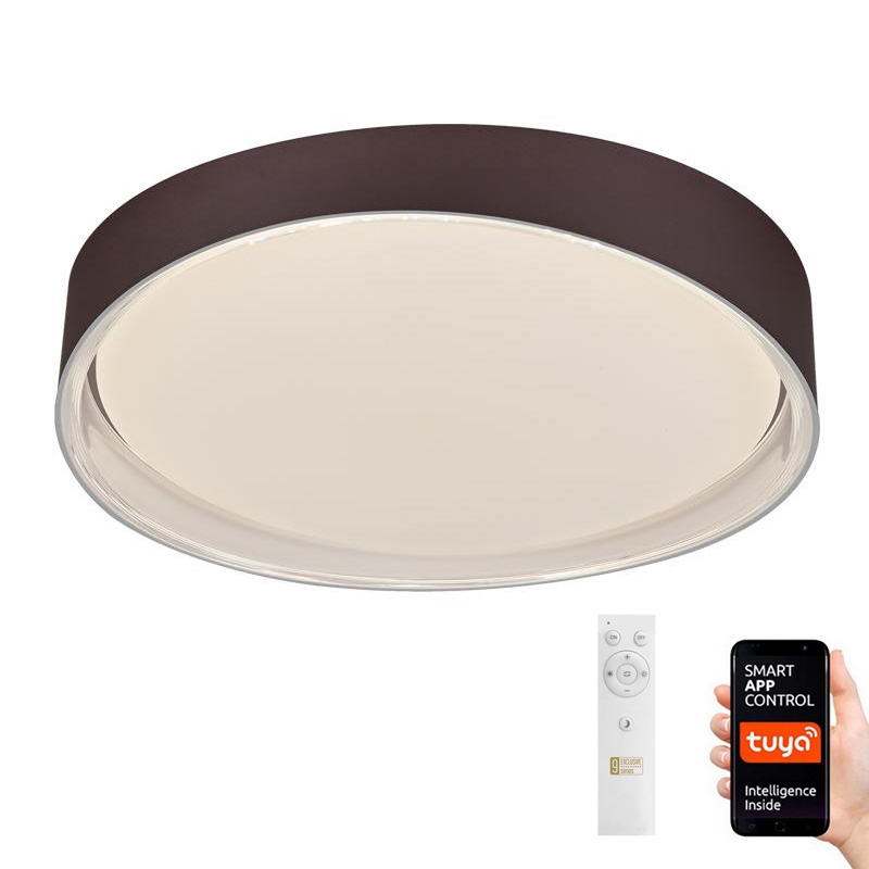 LED Reguliuojamas lubinis šviestuvas LED/48W/230V 2700-6500K Wi-Fi Tuya + valdymo pultas