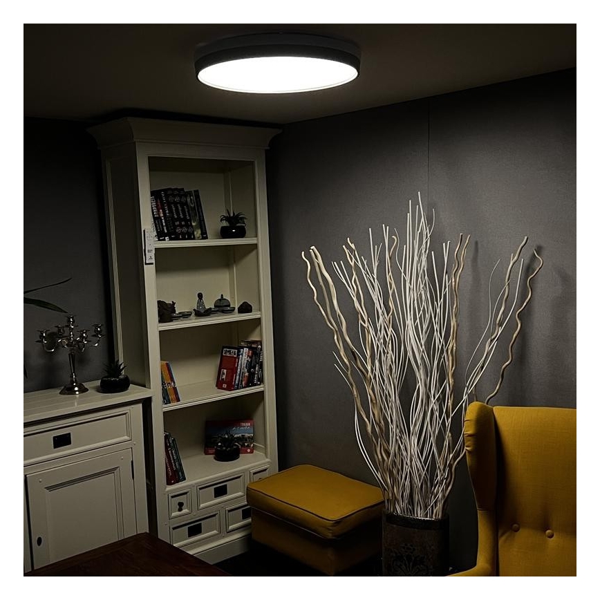 LED Reguliuojamas lubinis šviestuvas LED/48W/230V 2700-6500K Wi-Fi Tuya + valdymo pultas