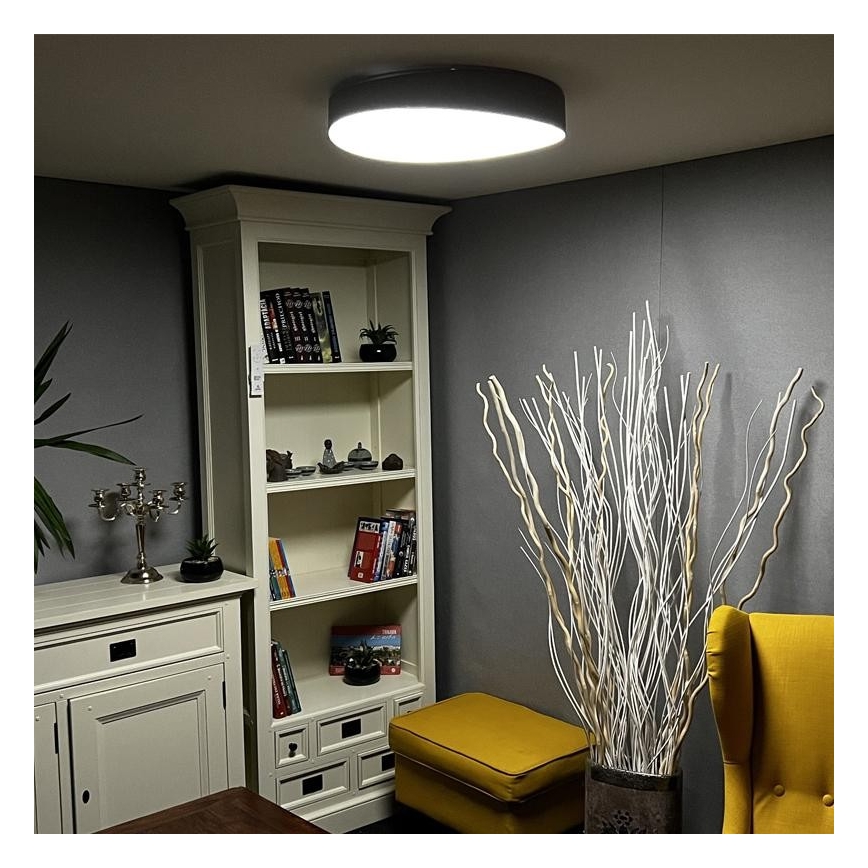 LED Reguliuojamas lubinis šviestuvas LED/48W/230V 2700-6500K Wi-Fi Tuya + valdymo pultas