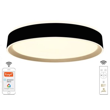 LED Reguliuojamas lubinis šviestuvas LED/48W/230V 2700-6500K Wi-Fi Tuya + VP