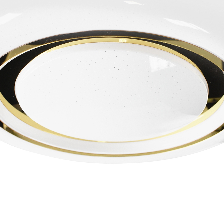 LED Reguliuojamas lubinis šviestuvas MEGAN LED/48W/230V 3000-6000K + valdymo pultas