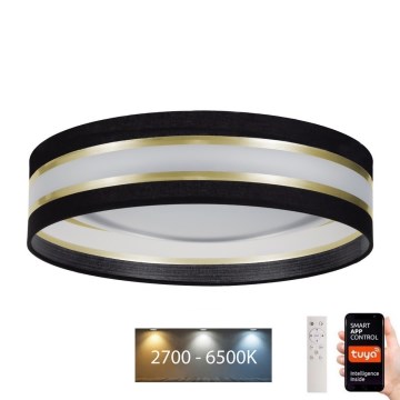 LED Reguliuojamas lubinis šviestuvas SMART CORAL LED/24W/230V Wi-Fi Tuya juodas + valdymo pultas