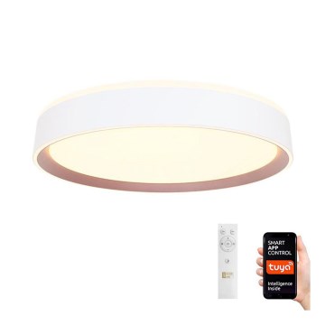 LED Reguliuojamas lubinis šviestuvasLED/48W/230V 2700-6500K Wi-Fi Tuya + valdymo pultas