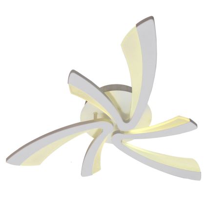 LED Reguliuojamas lubų šviestuvas FLORANCE 2xLED/30W/230V su nuotoliniu valdymu
