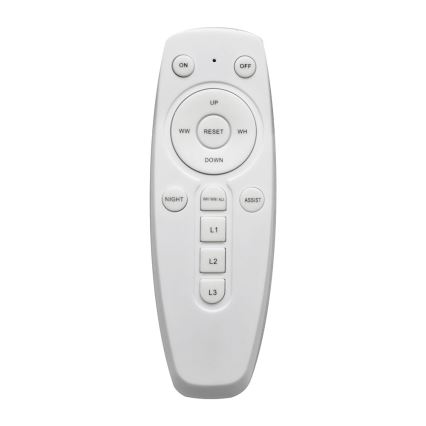 LED Reguliuojamas lubų šviestuvas FLORANCE 2xLED/30W/230V su nuotoliniu valdymu