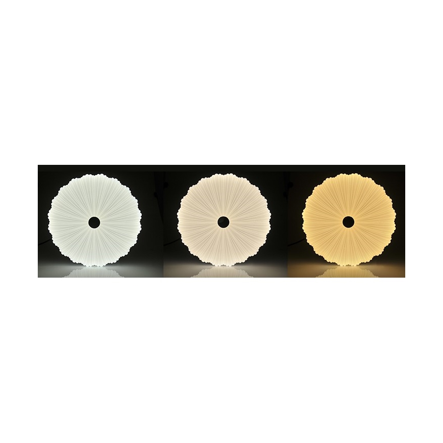 LED Reguliuojamas lubų šviestuvas FLOWER LED/36W/230V + nuotolinio valdymo pultas