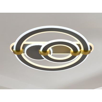 LED reguliuojamas lubų šviestuvas LED/120W/230V 3000-6500K + nuotolinis valdymas