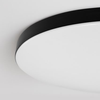 Dimeriuojamas LED lubinis šviestuvas SIENA LED/80W/230V 3000-6000K skersmuo 75 cm juodas + nuotolinis pultelis