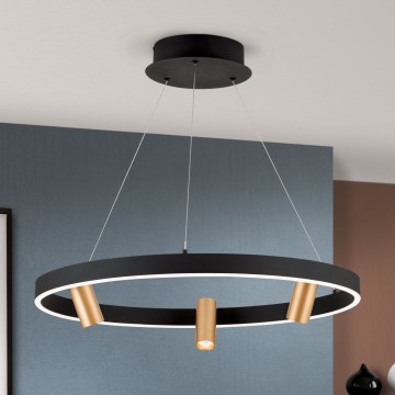 LED Reguliuojamas pakabinamas sietynas BERLIN LED/50W/230V juoda/auksas