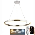 LED Reguliuojamas pakabinamas sietynas LED/100W/230V 3000-6500K diametras 80 cm + nuotolinio valdymo pultas