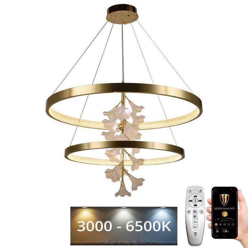 LED Reguliuojamas pakabinamas sietynas LED/100W/230V 3000-6500K + nuotolinio valdymo pultas