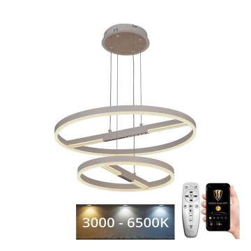 LED Reguliuojamas pakabinamas sietynas LED/100W/230V 3000-6500K + nuotolinio valdymo pultas