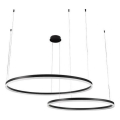LED Reguliuojamas pakabinamas sietynas LED/100W/230V 3000-6500K + nuotolinio valdymo pultas