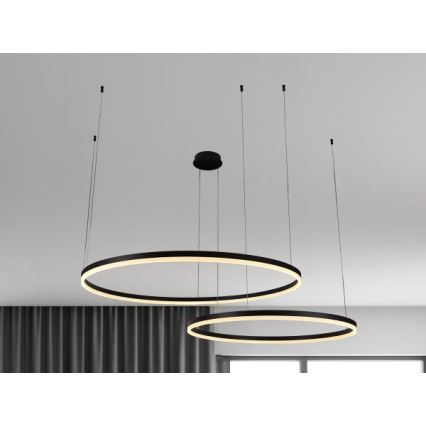 LED Reguliuojamas pakabinamas sietynas LED/100W/230V 3000-6500K + nuotolinio valdymo pultas