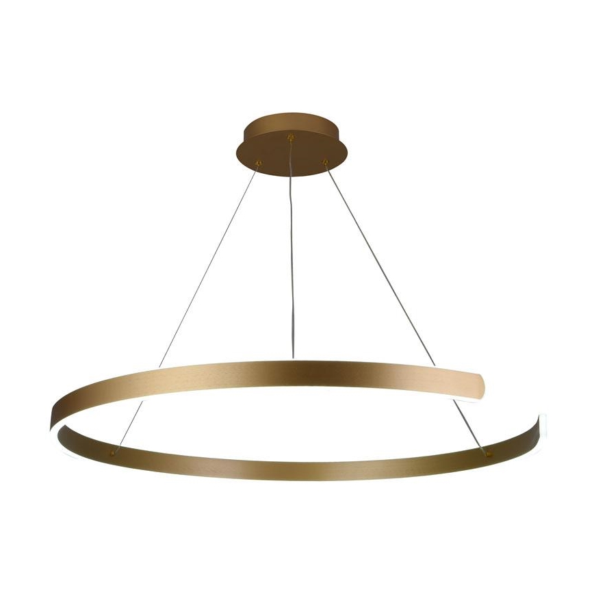 LED Reguliuojamas pakabinamas sietynas LED/100W/230V 3000-6500K + valdymo pultas