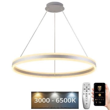 LED Reguliuojamas pakabinamas sietynas LED/110W/230V 3000-6500K diametras 80 cm + nuotolinio valdymo pultas