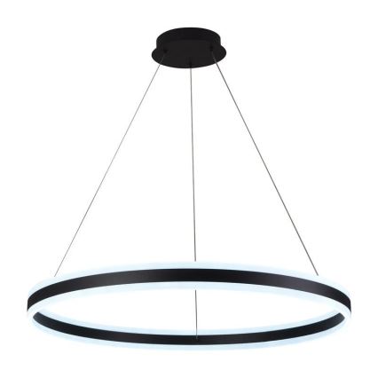 LED Reguliuojamas pakabinamas sietynas LED/110W/230V 3000-6500K diametras 80 cm + nuotolinio valdymo pultas