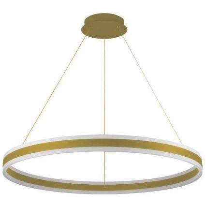 LED Reguliuojamas pakabinamas sietynas LED/110W/230V 3000-6500K diametras 80 cm + nuotolinio valdymo pultas