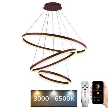 LED Reguliuojamas pakabinamas sietynas LED/125W/230V 3000-6500K diametras 80 cm + nuotolinio valdymo pultas