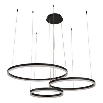 LED Reguliuojamas pakabinamas sietynas LED/125W/230V 3000-6500K + nuotolinio valdymo pultas