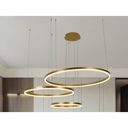LED Reguliuojamas pakabinamas sietynas LED/125W/230V 3000-6500K + nuotolinio valdymo pultas