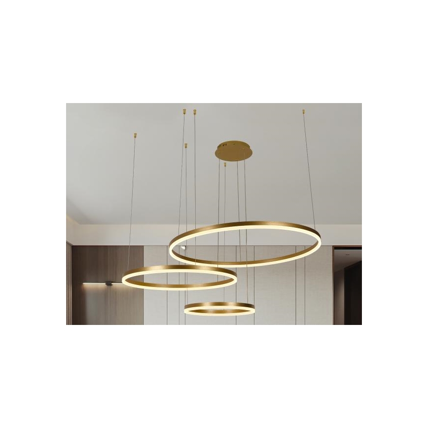 LED Reguliuojamas pakabinamas sietynas LED/125W/230V 3000-6500K + nuotolinio valdymo pultas
