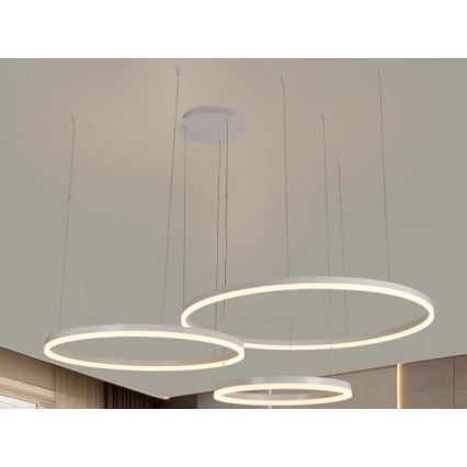 LED Reguliuojamas pakabinamas sietynas LED/125W/230V 3000-6500K + nuotolinio valdymo pultas
