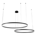 LED Reguliuojamas pakabinamas sietynas LED/128W/230V 3000-6500K + nuotolinio valdymo pultas