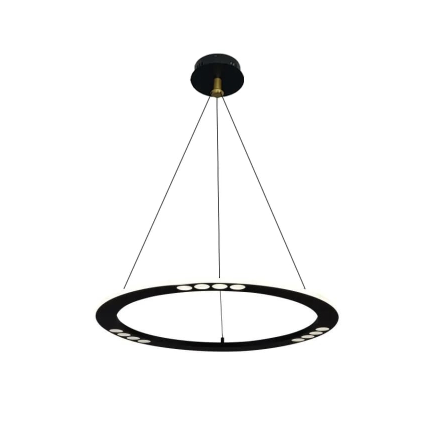LED Reguliuojamas pakabinamas sietynas LED/40W/230V 3000-6500K + nuotolinio valdymo pultas