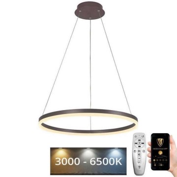 LED Reguliuojamas pakabinamas sietynas LED/42W/230V 3000-6500K diametras 60 cm + nuotolinio valdymo pultas