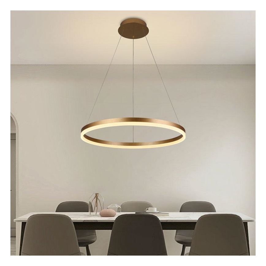 LED Reguliuojamas pakabinamas sietynas LED/42W/230V 3000-6500K diametras 60 cm + nuotolinio valdymo pultas